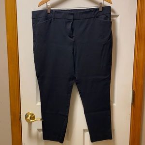 New York and Company capris